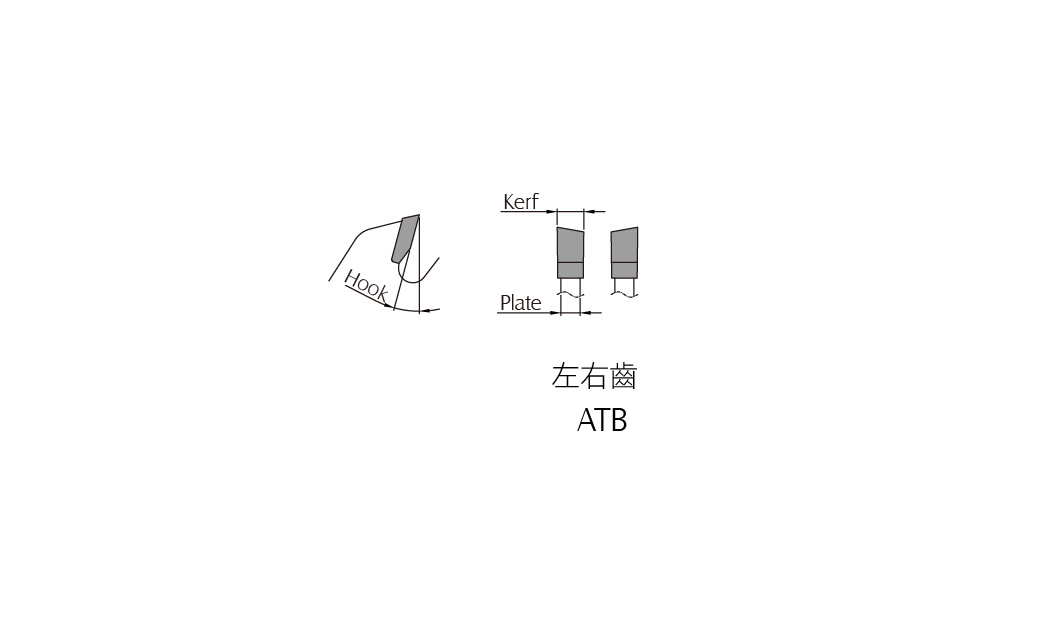 左右齿