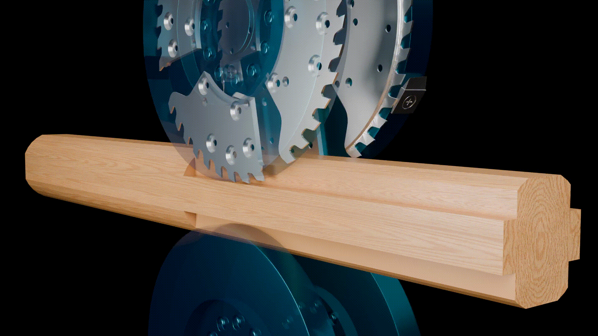 Chipper Canter (Segments) GIF